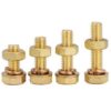 Brass Nut bolt